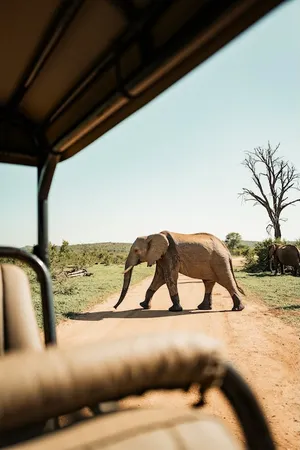 Foto mit wiederhergestellten Metadaten